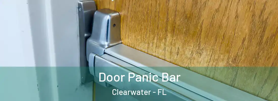  Door Panic Bar Clearwater - FL