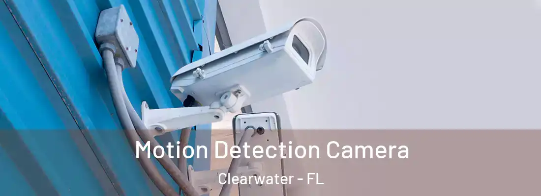 Motion Detection Camera Clearwater - FL